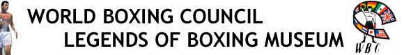 WBC Page Banner